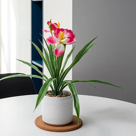 Appartement Mokotow Belska Dream