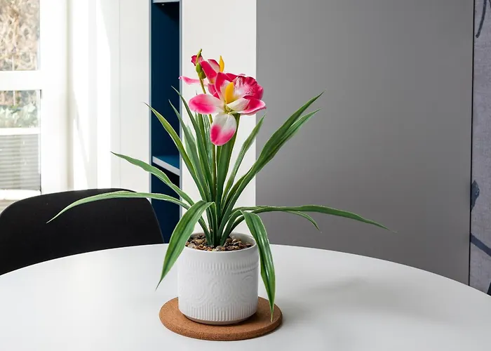 Apartamento Mokotow Belska Dream